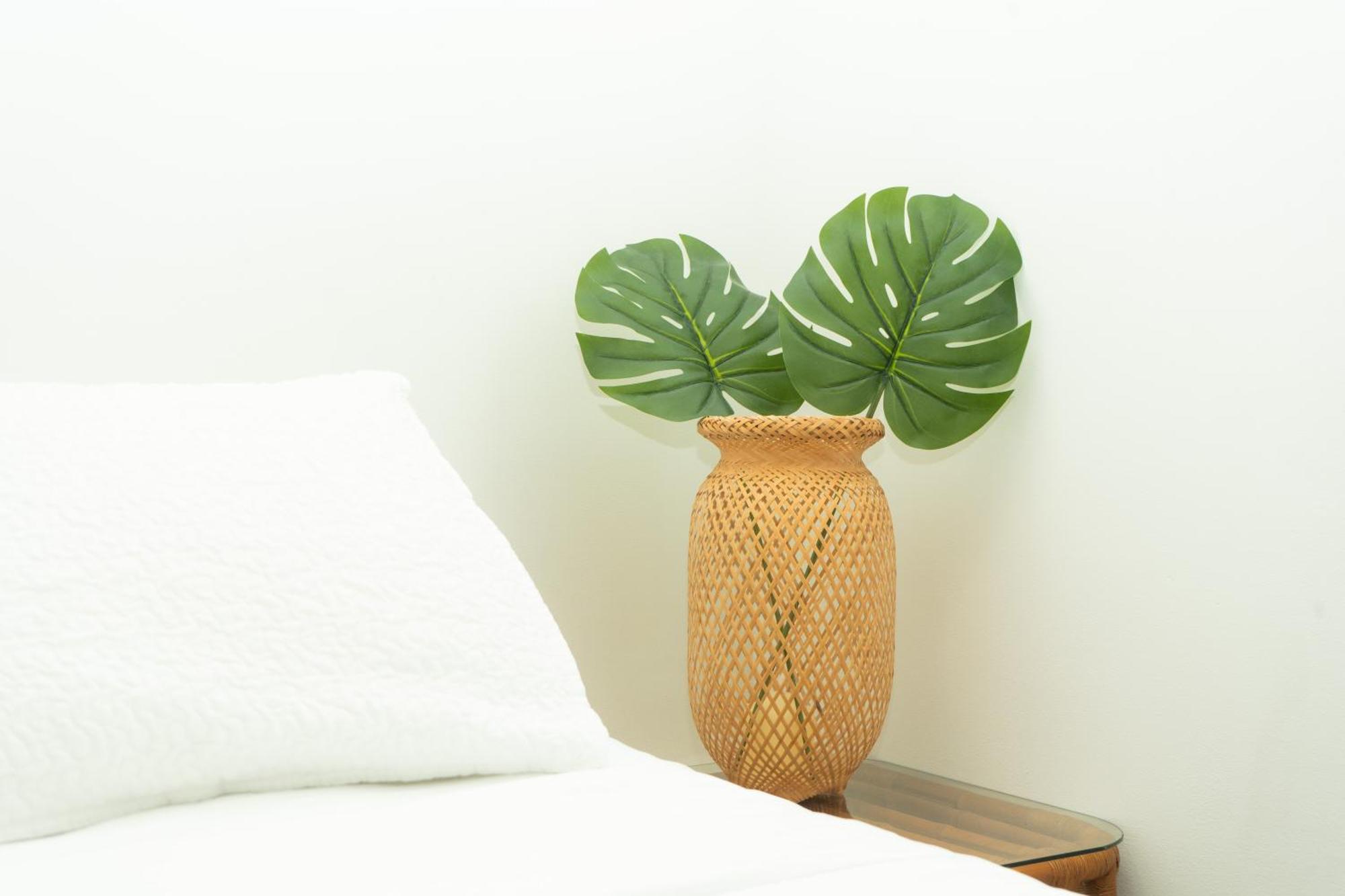 Puesta Del Sol Guest House San Andrés Zewnętrze zdjęcie
